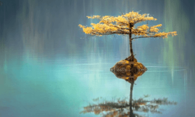 capture mcminnville high school