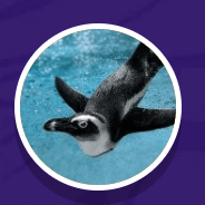 embeddedimage mcminnville high school