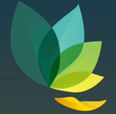 embeddedimage mcminnville high school